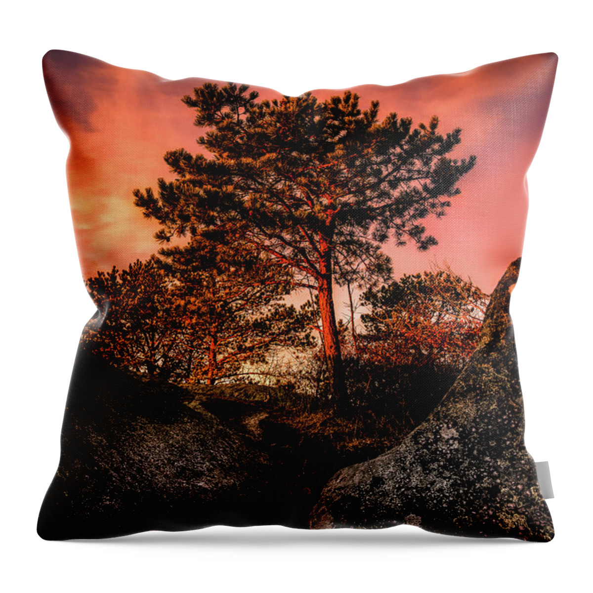 Sunset Mt. Throw Pillow featuring the photograph Sunrise Light on Sunset Mt., Gloucester MA. by Michael Hubley