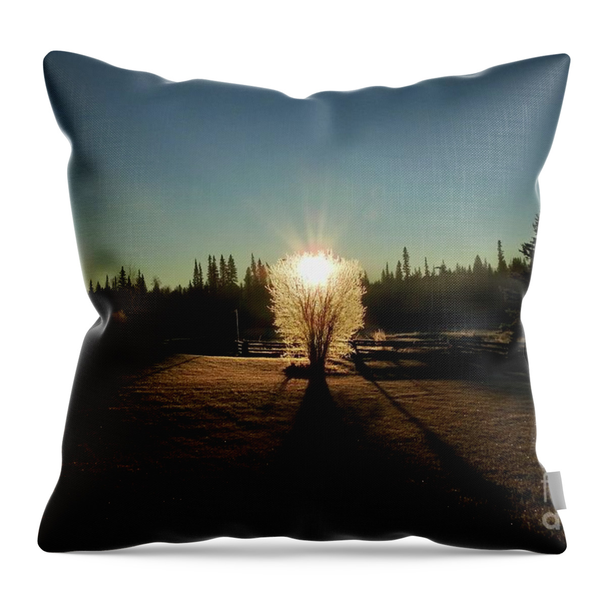 Sunrise Throw Pillow featuring the photograph Sunrise by Nicola Finch
