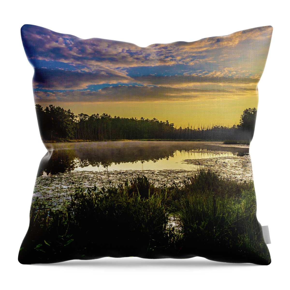 Landscape Throw Pillow featuring the photograph Sunrise on Roberts Branch by Louis Dallara