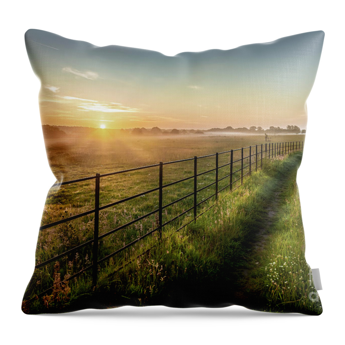 Norfolk Throw Pillow featuring the photograph Sunrise over rural fields fences and track in Norfolk UK by Simon Bratt