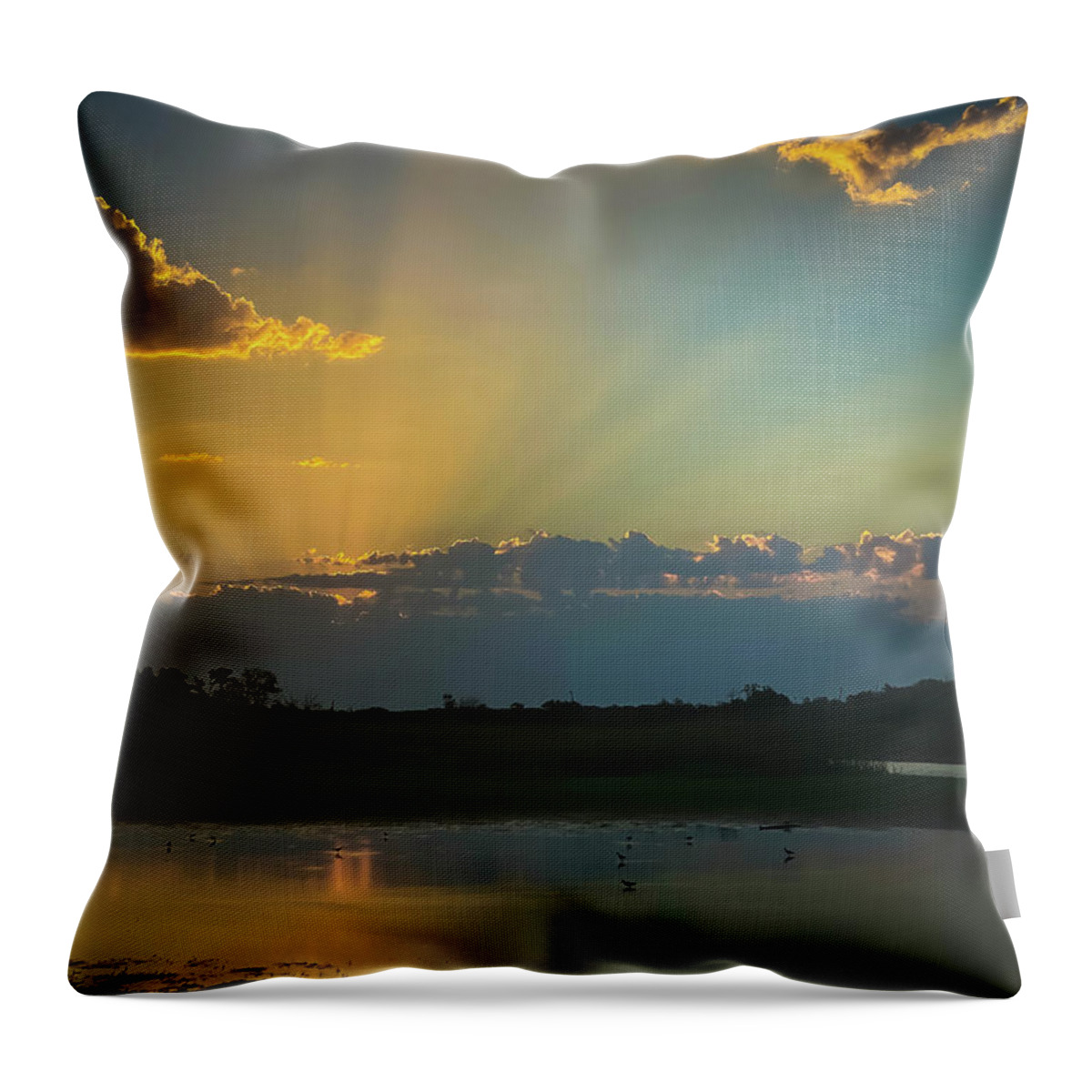 Sunrise Throw Pillow featuring the photograph Sunrise Peeking Through by Pam Rendall