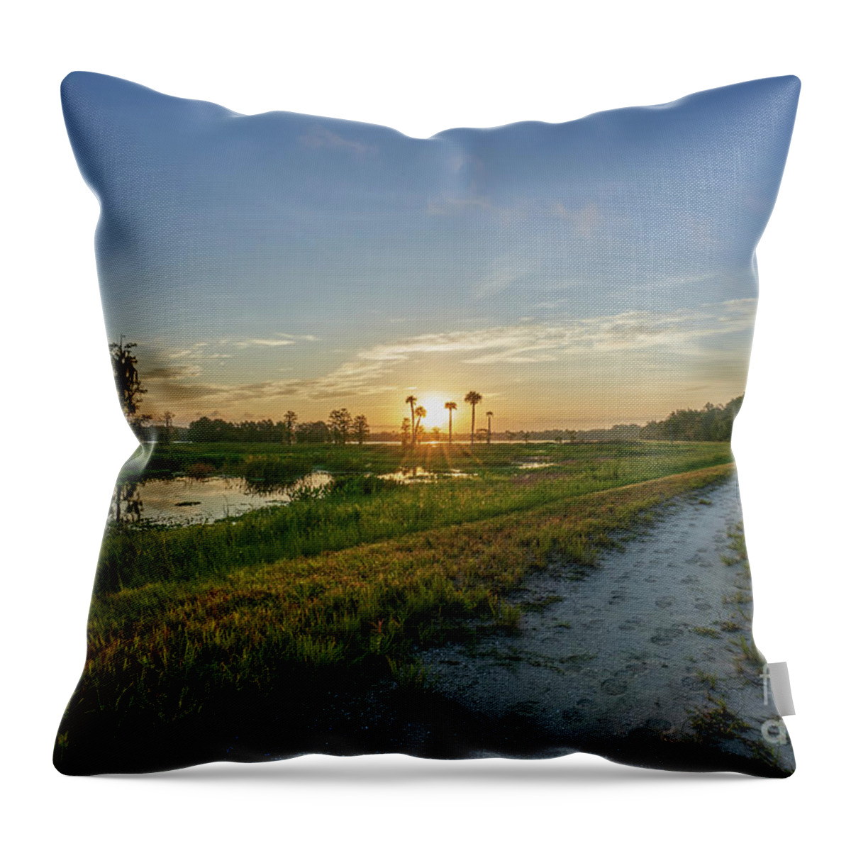 Usa Throw Pillow featuring the photograph Sunrise Road by Brian Kamprath