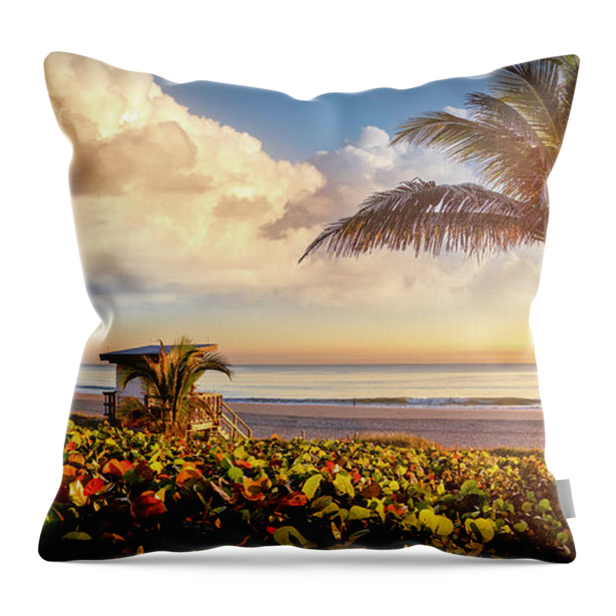 Panorama Throw Pillow featuring the photograph Sunrise View Panorama by Debra and Dave Vanderlaan