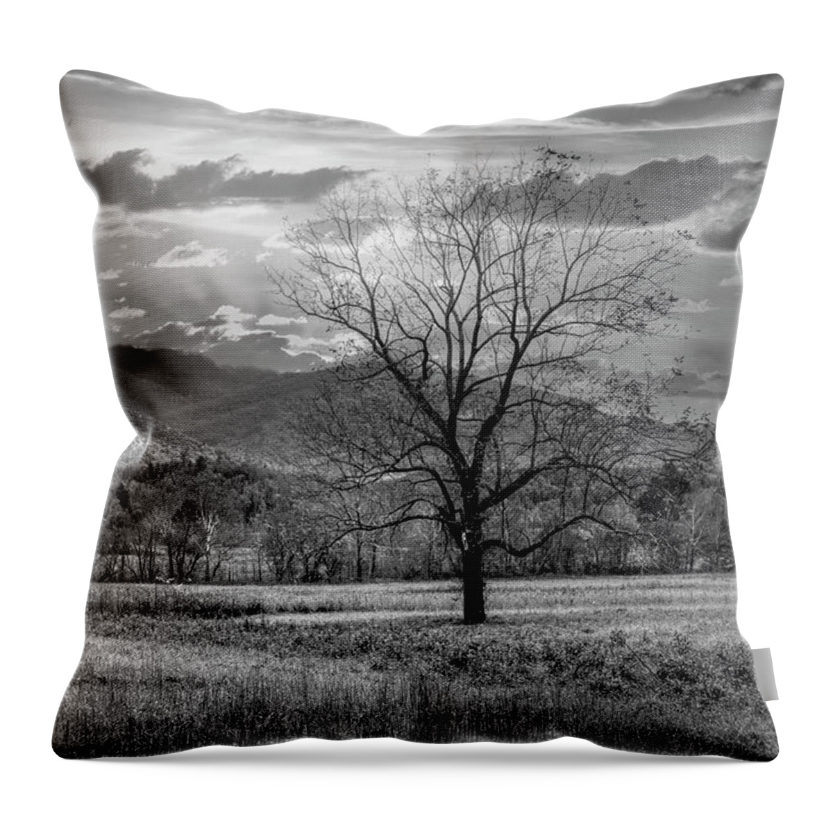 Tree Throw Pillow featuring the photograph Sunset Clouds in Cades Cove Black and White by Debra and Dave Vanderlaan
