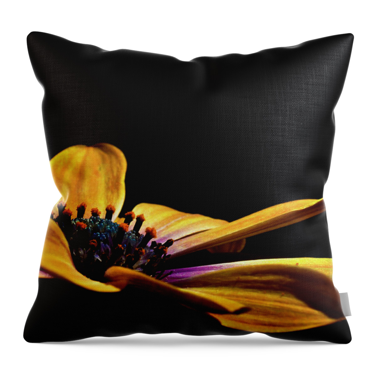Flower Throw Pillow featuring the photograph Sunset Flutter by Pamela Dunn-Parrish