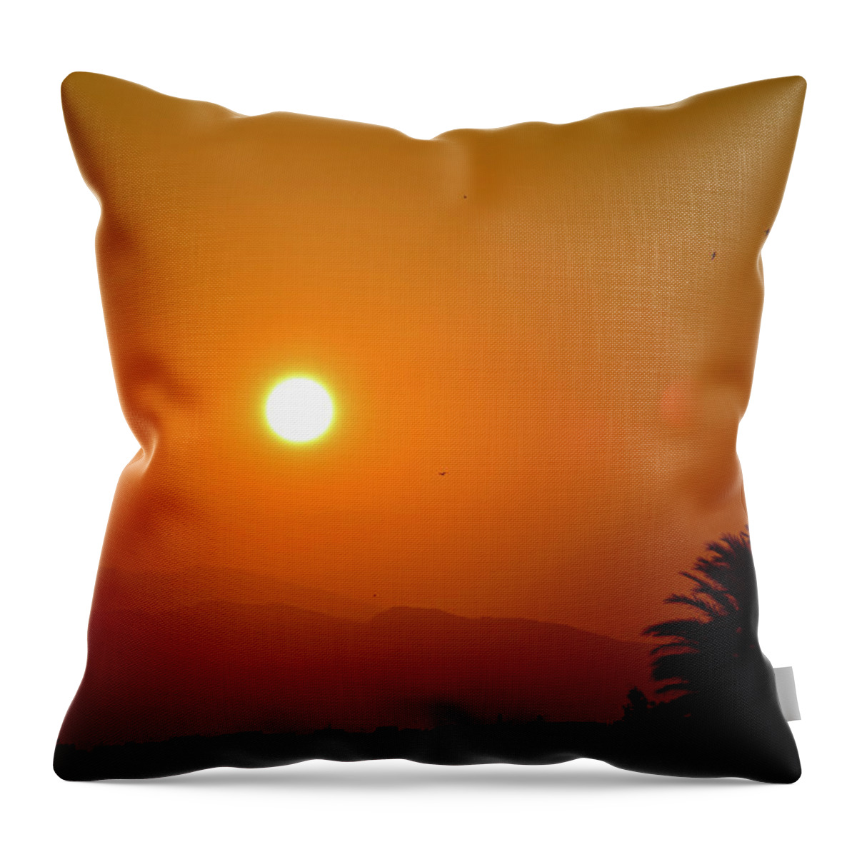 Sunset Throw Pillow featuring the photograph Sunset in Roses by Monika Salvan