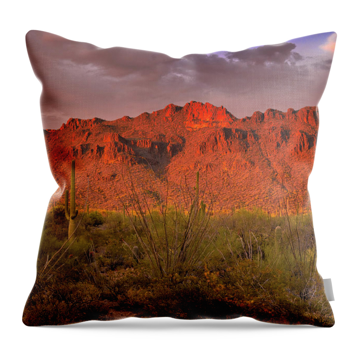Tucson Throw Pillow featuring the photograph Sunset light on the Tucson Mountains, Arizona by Chance Kafka