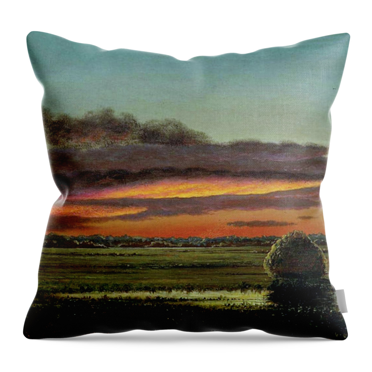 Summer Throw Pillow featuring the digital art Sunset Over the Marshes by Long Shot