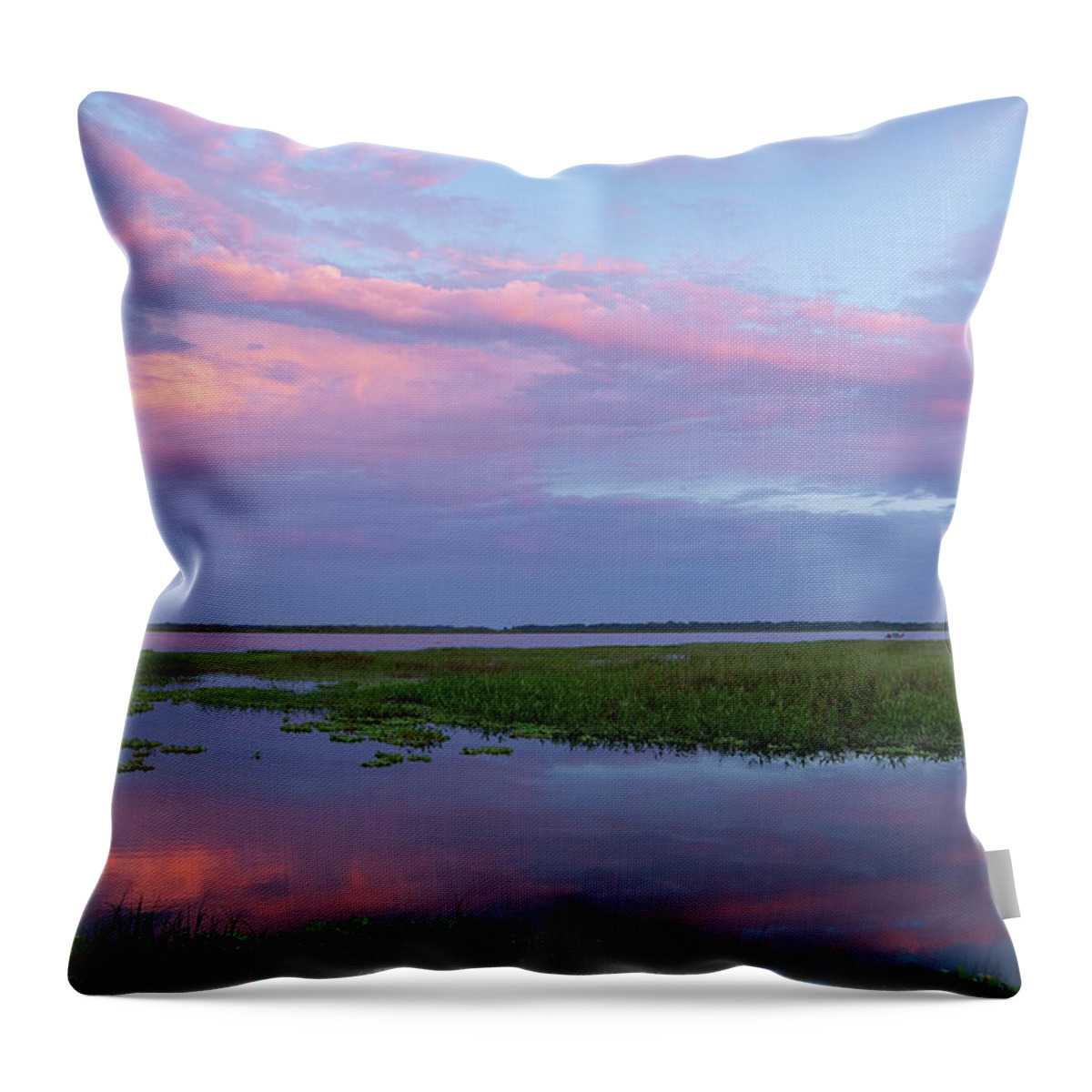 Landscape Throw Pillow featuring the photograph Sunset Reflection by Carolyn Hutchins