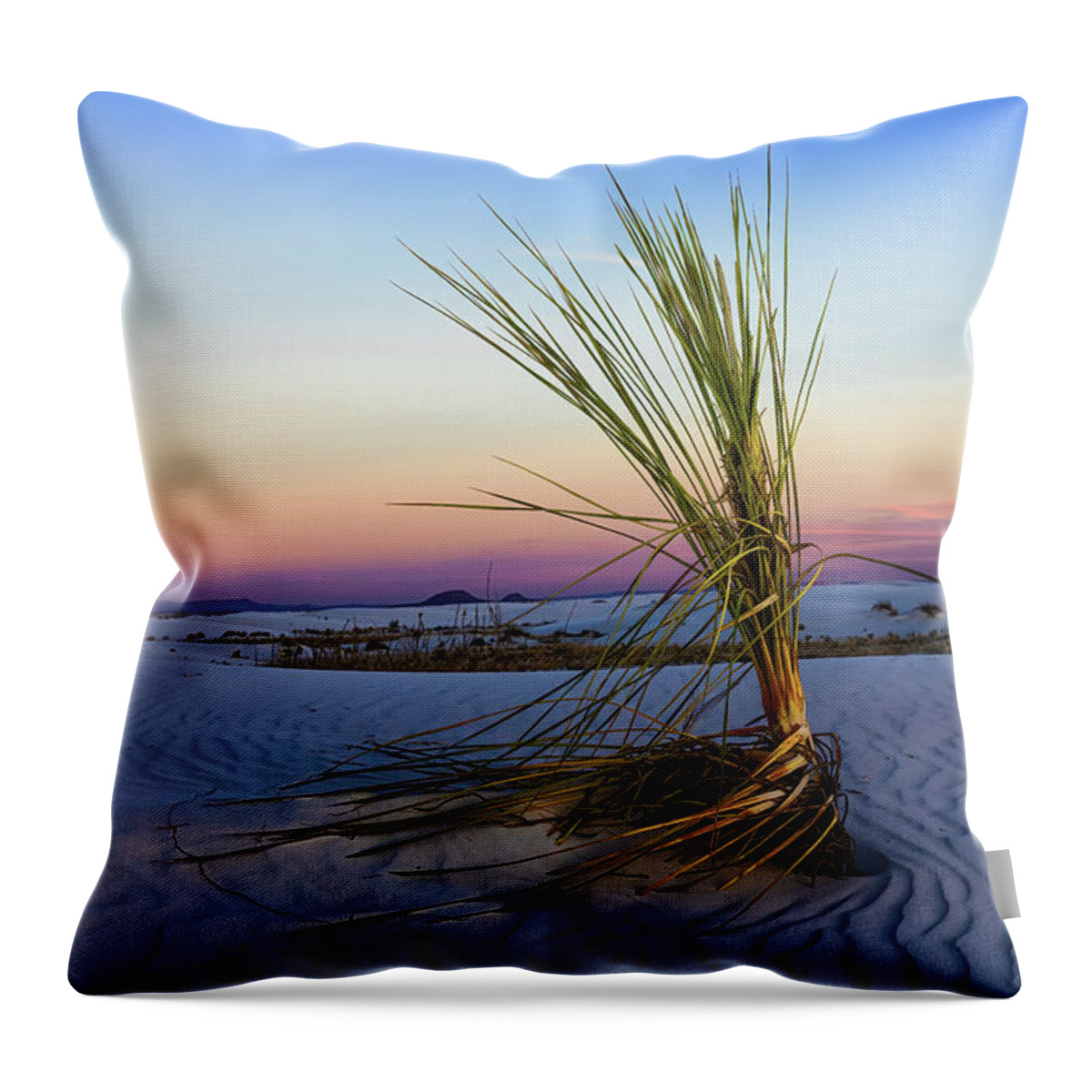Evening Throw Pillow featuring the photograph Sunset Sands by Jason Roberts