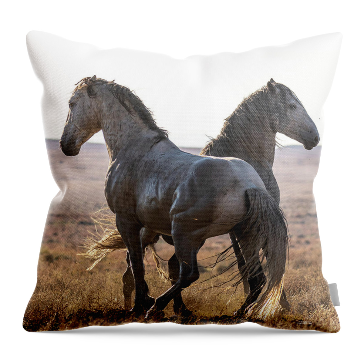 Wild Horses Throw Pillow featuring the photograph Sunset Scuffle by Mary Hone