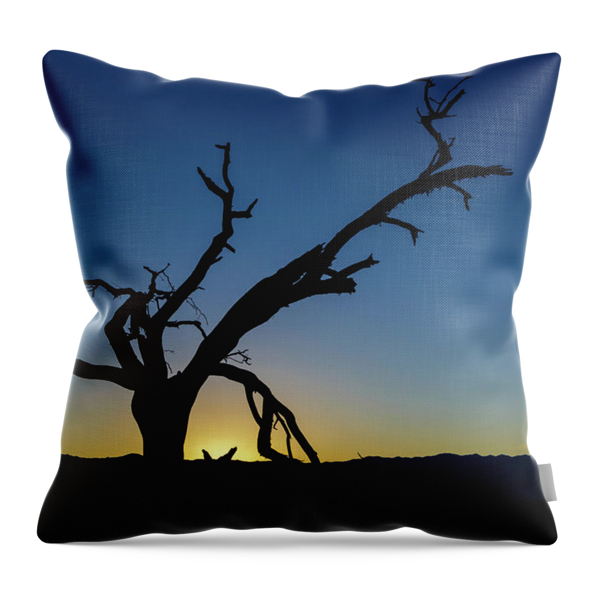 Dead Throw Pillow featuring the photograph Sunset Silhouette by Mike Schaffner