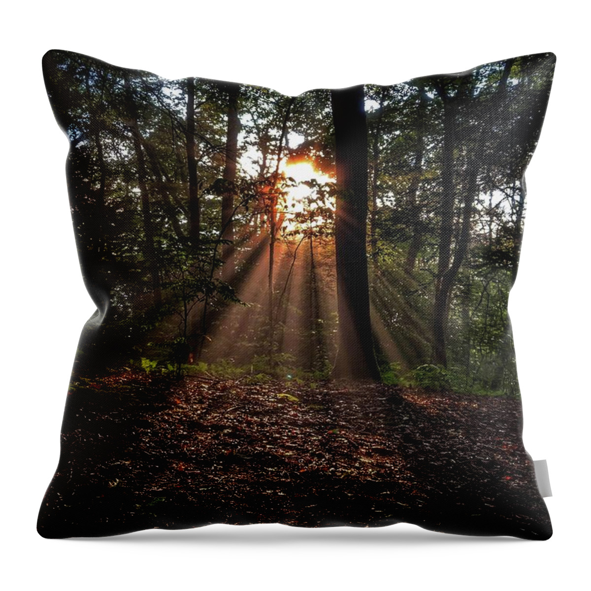 Photo Throw Pillow featuring the photograph Sunset through the Trees by Evan Foster