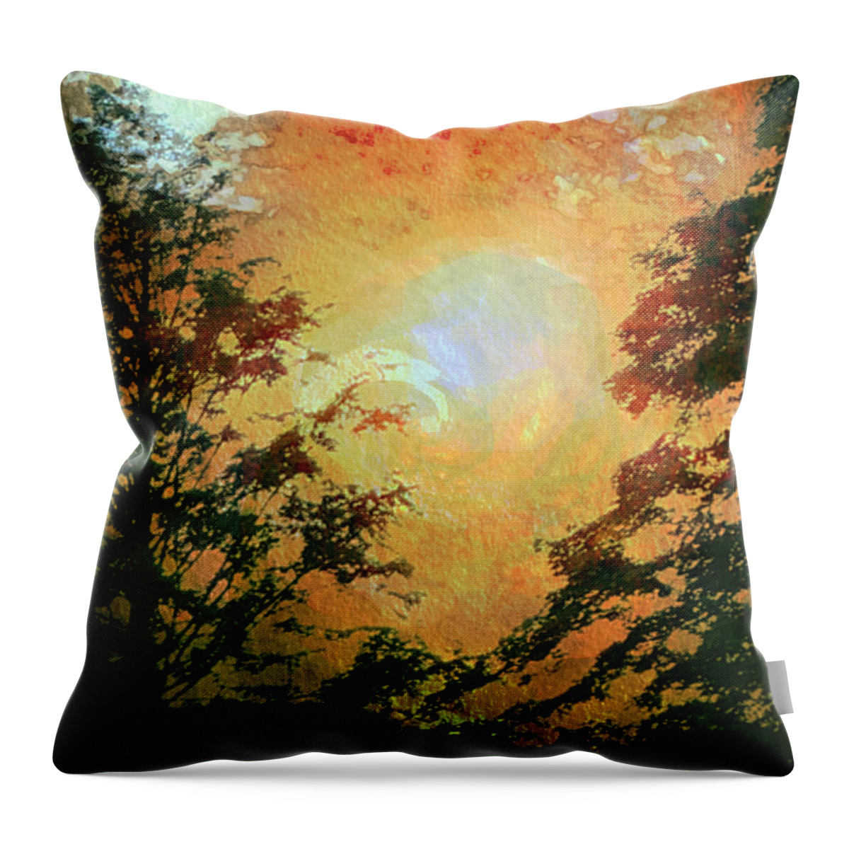 Tree Throw Pillow featuring the photograph Sunset Vortex by Carol Whaley Addassi