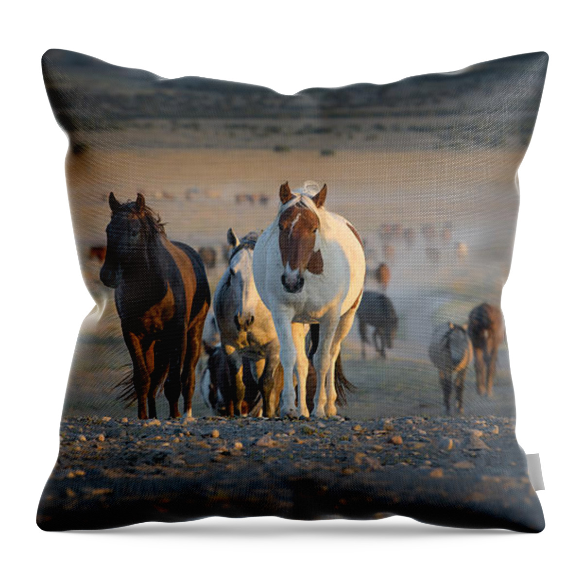 Onaqui Throw Pillow featuring the photograph Sunset Water Call by Lisa Manifold