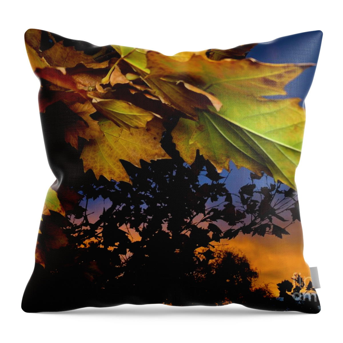 San Bernardino Throw Pillow featuring the photograph Sunsets vs Fall by Chris Tarpening