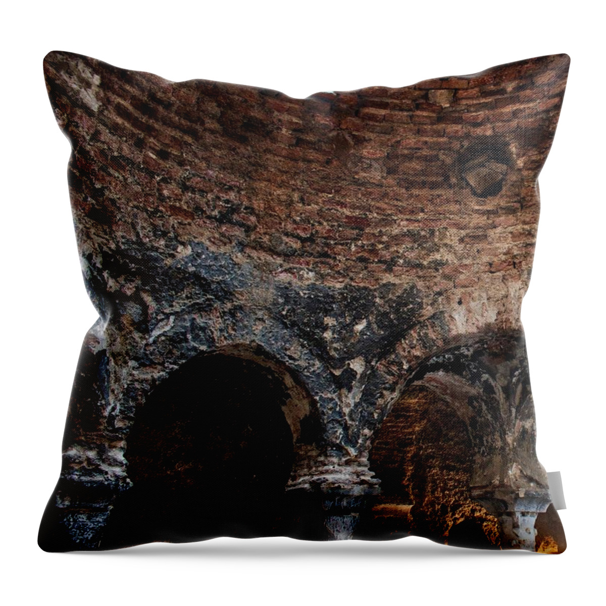 Building Throw Pillow featuring the photograph Sunshine In by Portia Olaughlin
