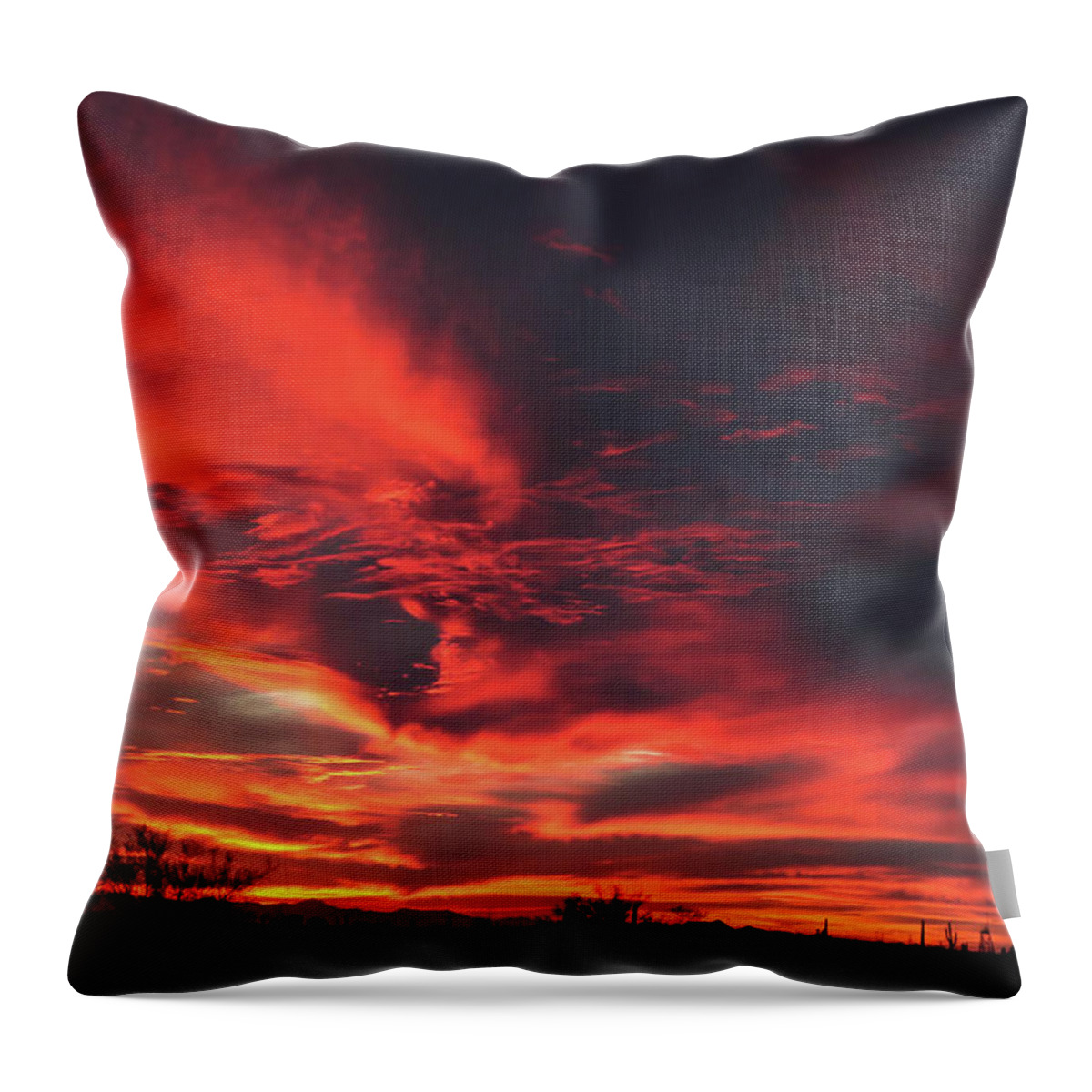 2020 Throw Pillow featuring the photograph Superstition Sunset by Dawn Richards