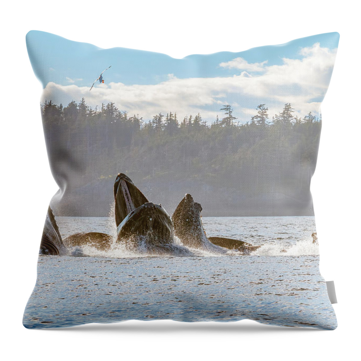 Whale Throw Pillow featuring the photograph Surprise Meal by Michael Rauwolf