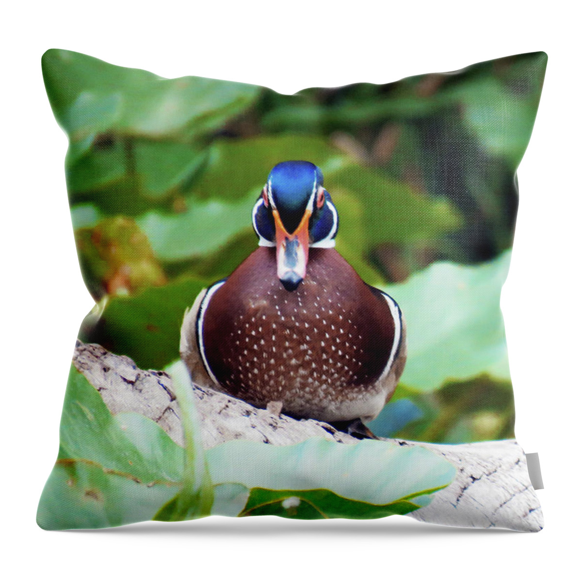 Florida Throw Pillow featuring the photograph Surroundings - Florida Wood Duck by Chris Andruskiewicz