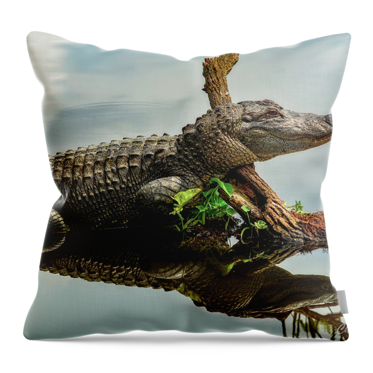 Christopher Holmes Photography Throw Pillow featuring the photograph Surveying the Lake by Christopher Holmes