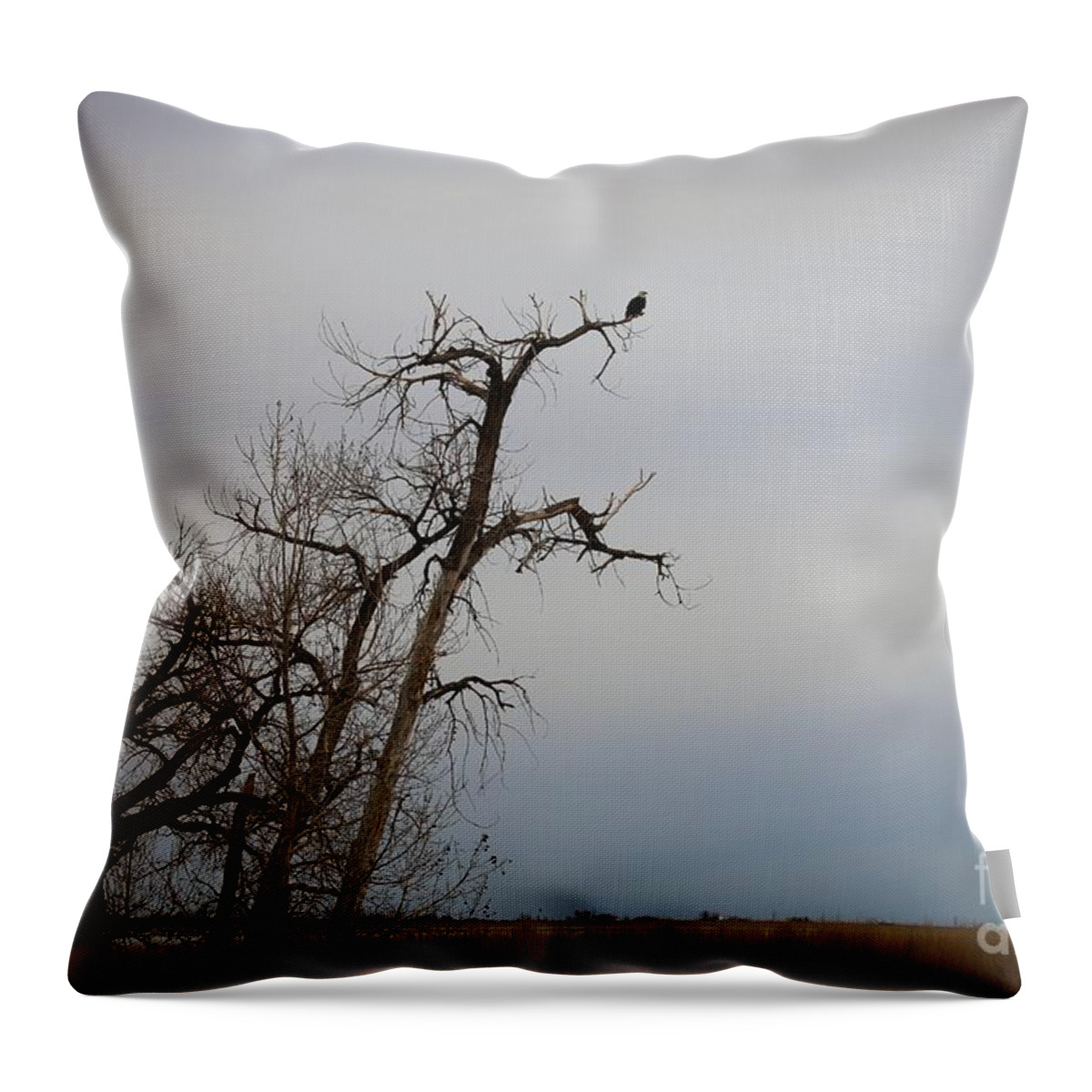 Eagles Throw Pillow featuring the photograph Surveying the Land by Veronica Batterson