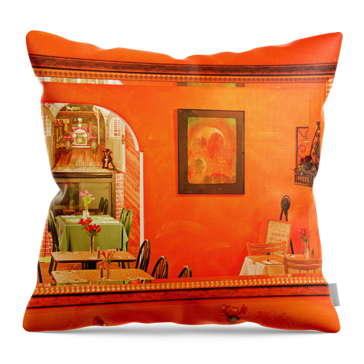 Brookings Throw Pillow featuring the photograph Suzy Q's Mirror by Dan McGeorge
