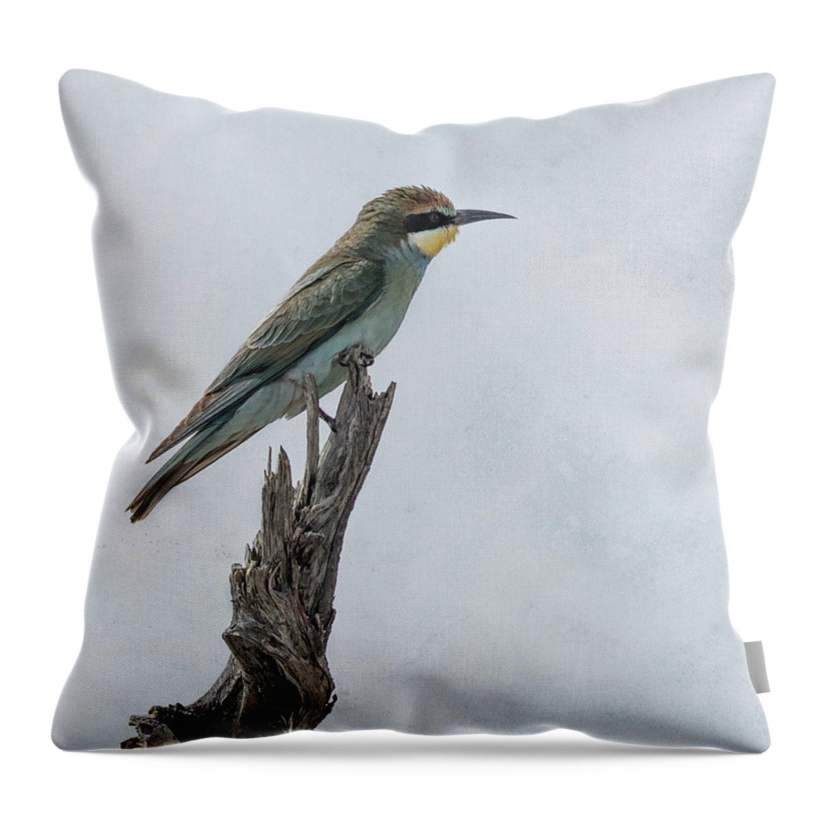 Swallow-tailed Bee-eater Throw Pillow featuring the photograph Swallow-tailed Bee-eater by Belinda Greb