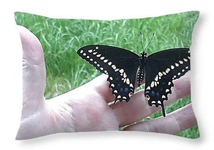 Butterfly Throw Pillow featuring the photograph Swallowtail Butterfly by Katrina Gunn