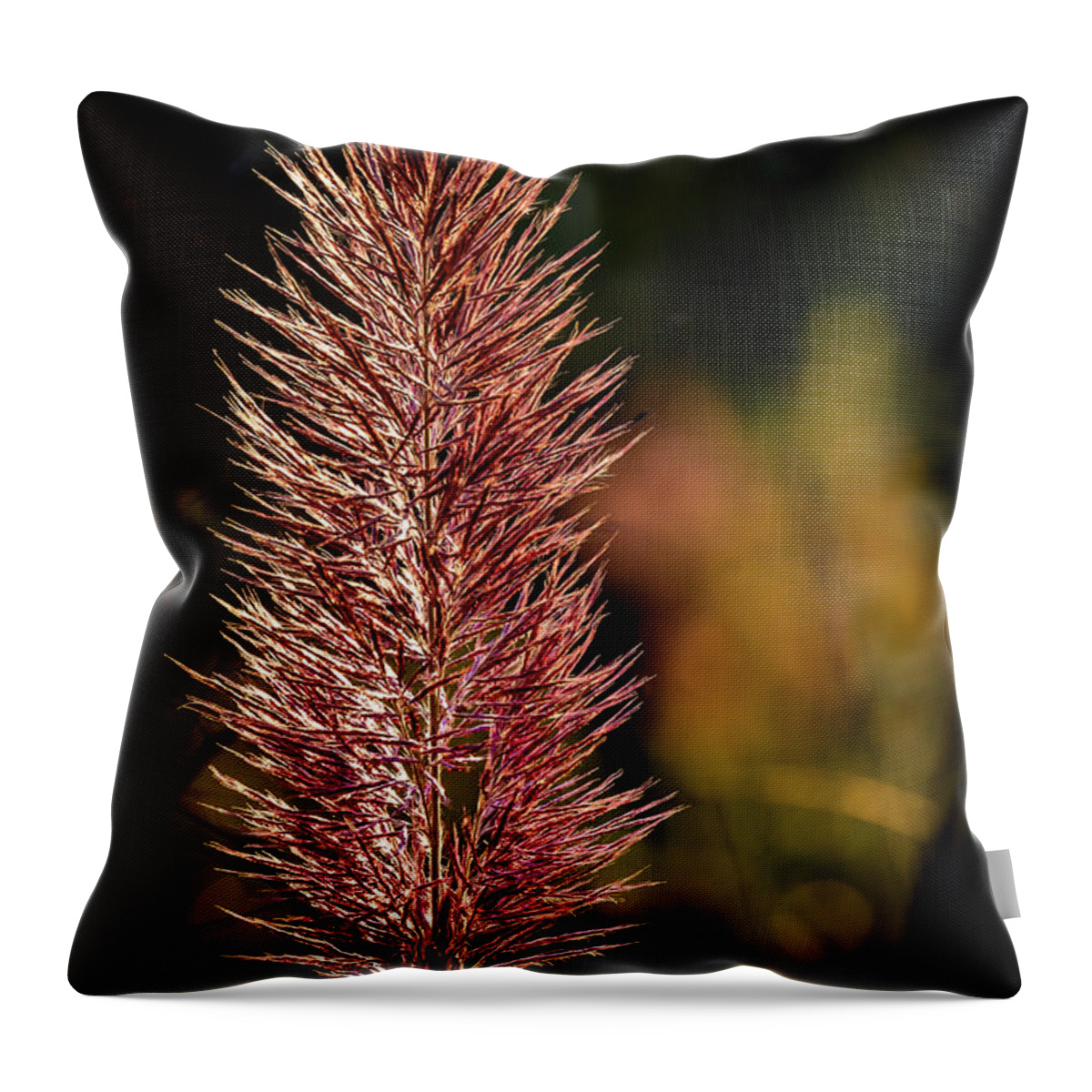 2021 Throw Pillow featuring the photograph Swamp Grass by Charles Hite