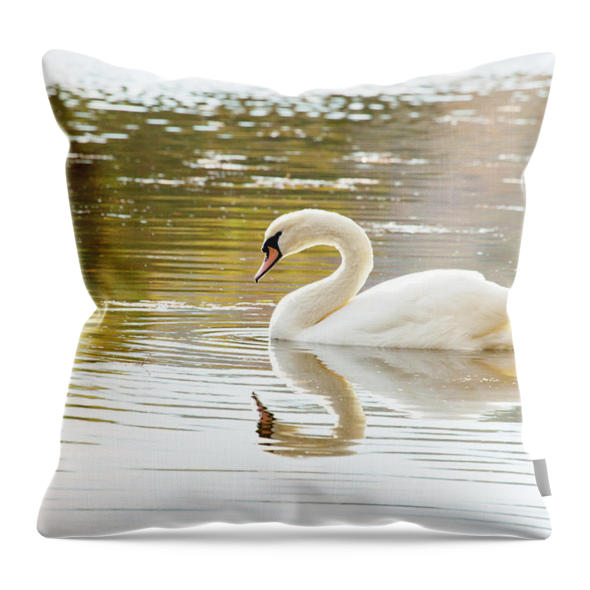 Autumn Swan Throw Pillow featuring the photograph Swan Days by Karol Livote