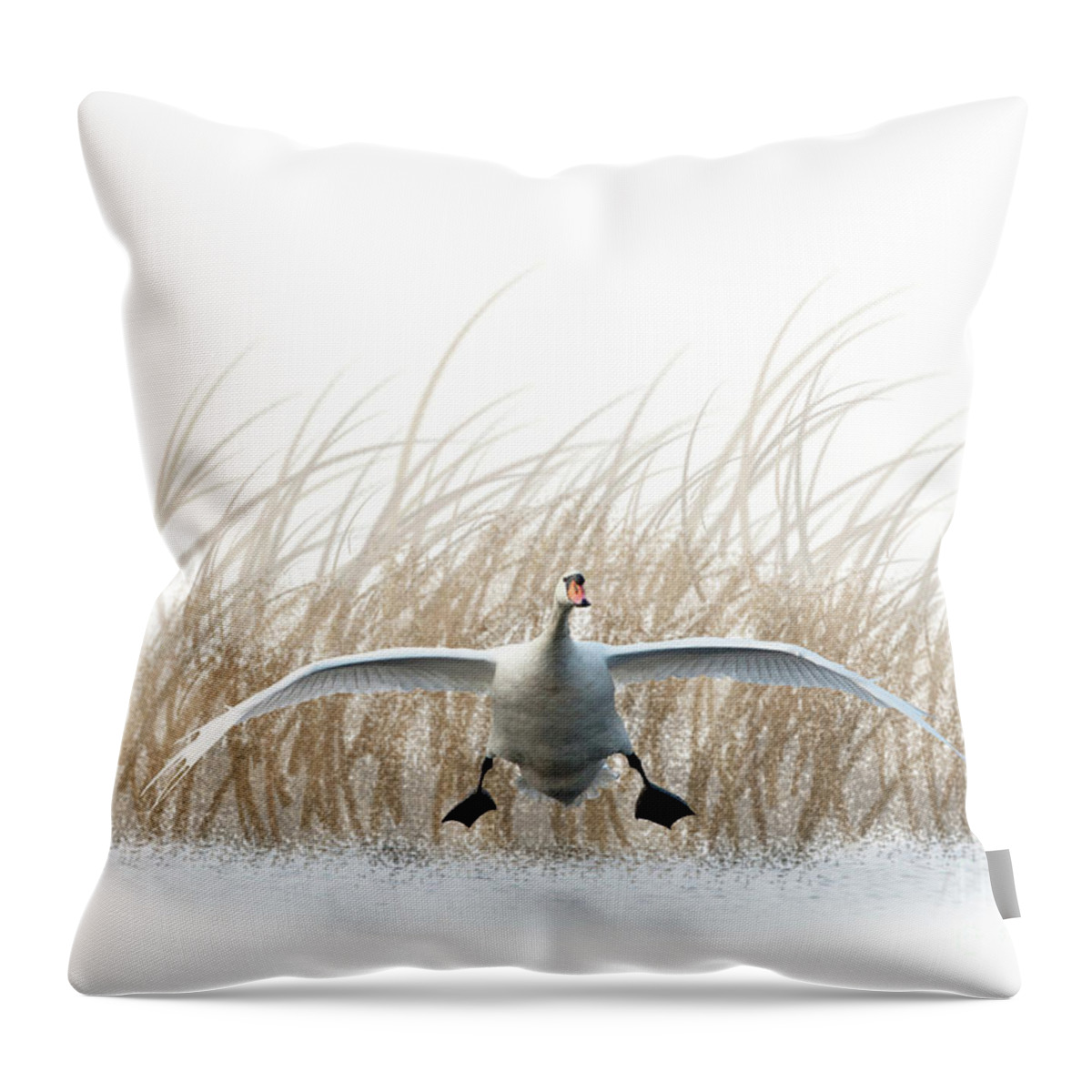 Swan Throw Pillow featuring the mixed media Swan landing by Tony Mills