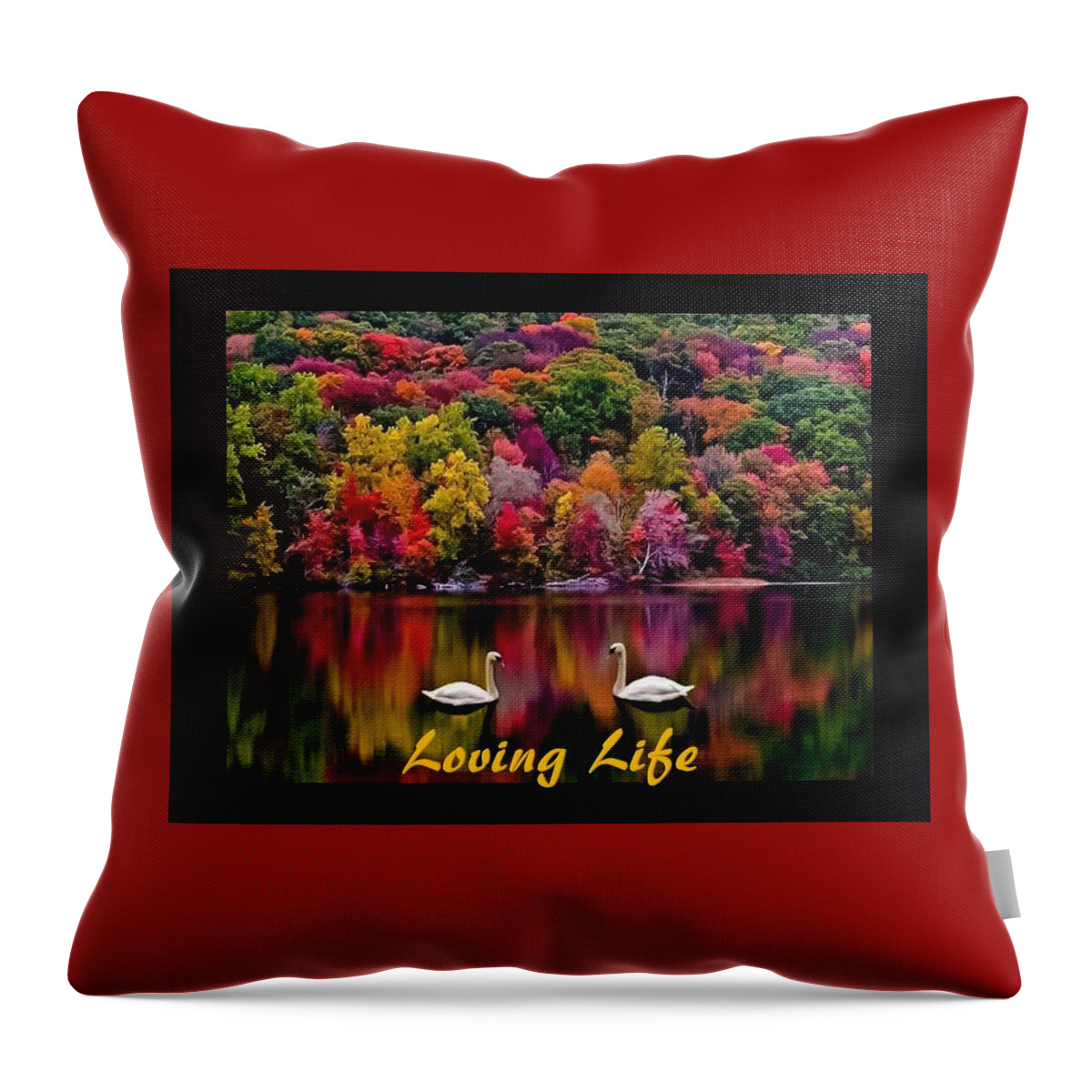 Swans Throw Pillow featuring the photograph Swans Loving Life by Nancy Ayanna Wyatt