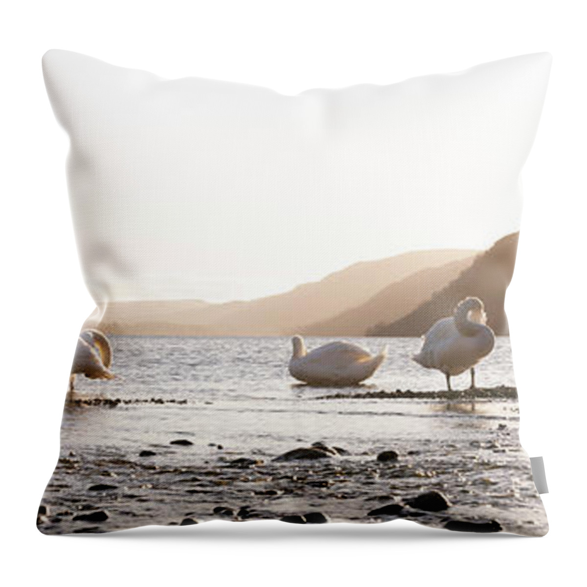 Panorama Throw Pillow featuring the photograph Swans on Ullswater Lake District by Sonny Ryse