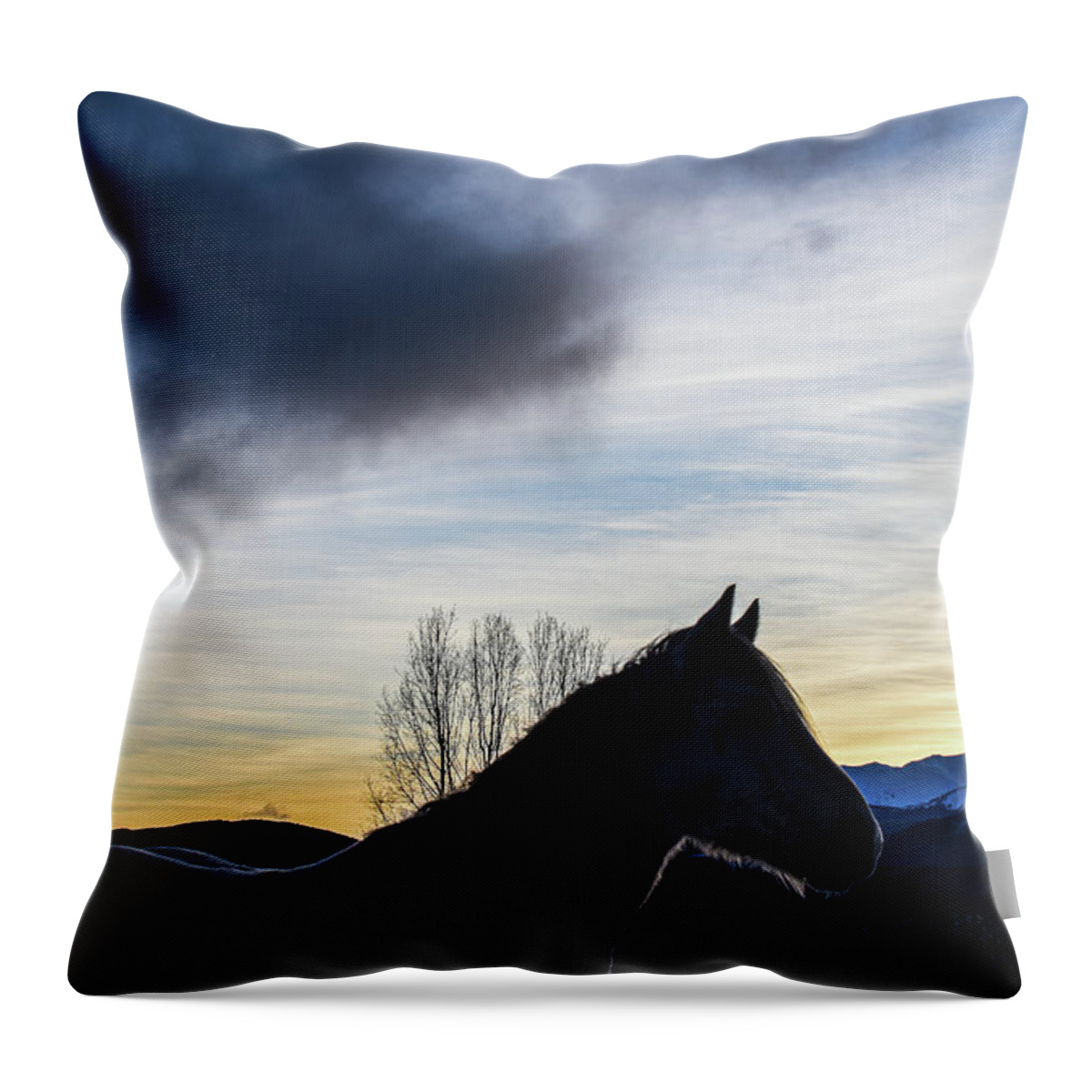 Winter Throw Pillow featuring the photograph Sweeping Cloud Sunset by Listen To Your Horse