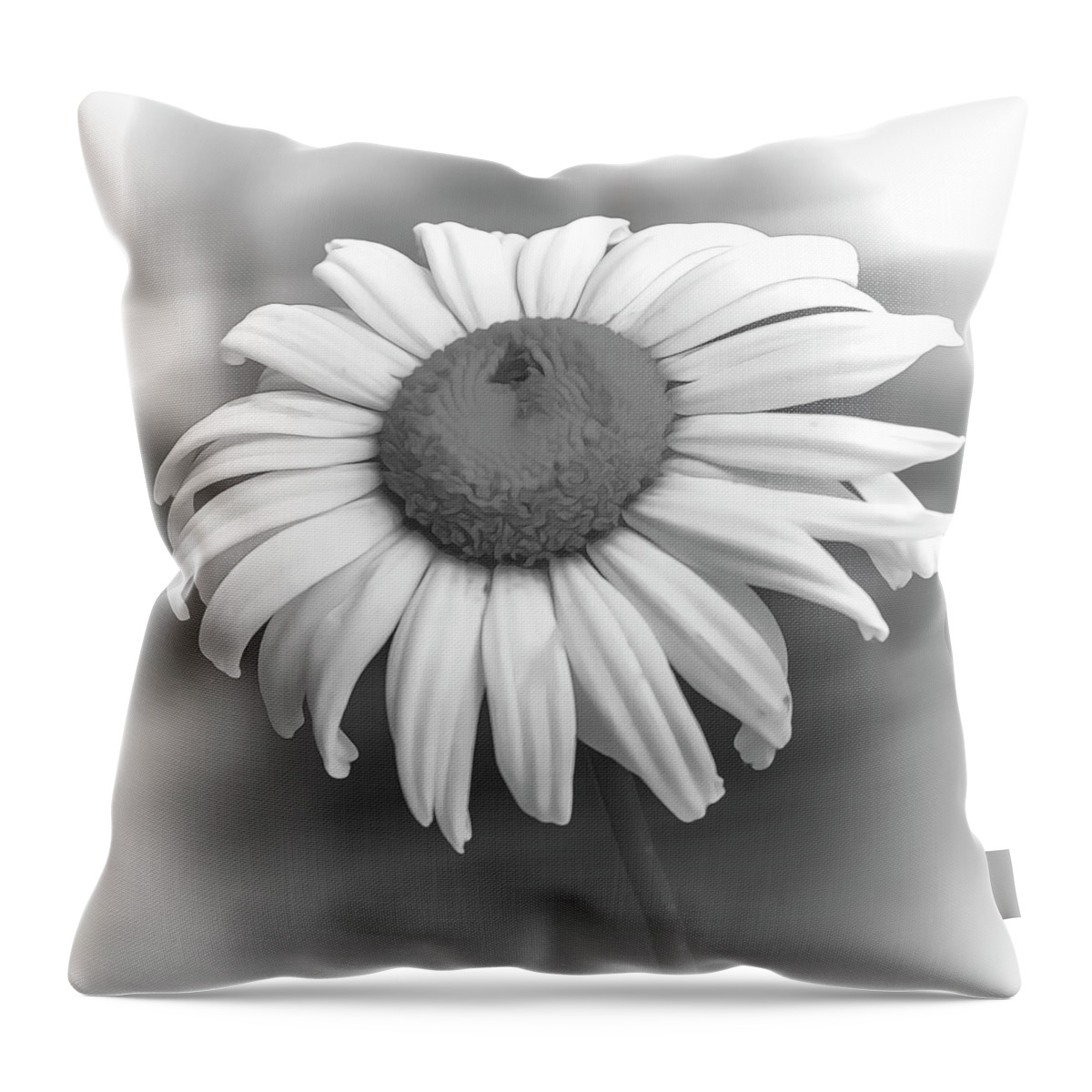 Monochrome Throw Pillow featuring the photograph Sweet Daisy by Cathy Kovarik