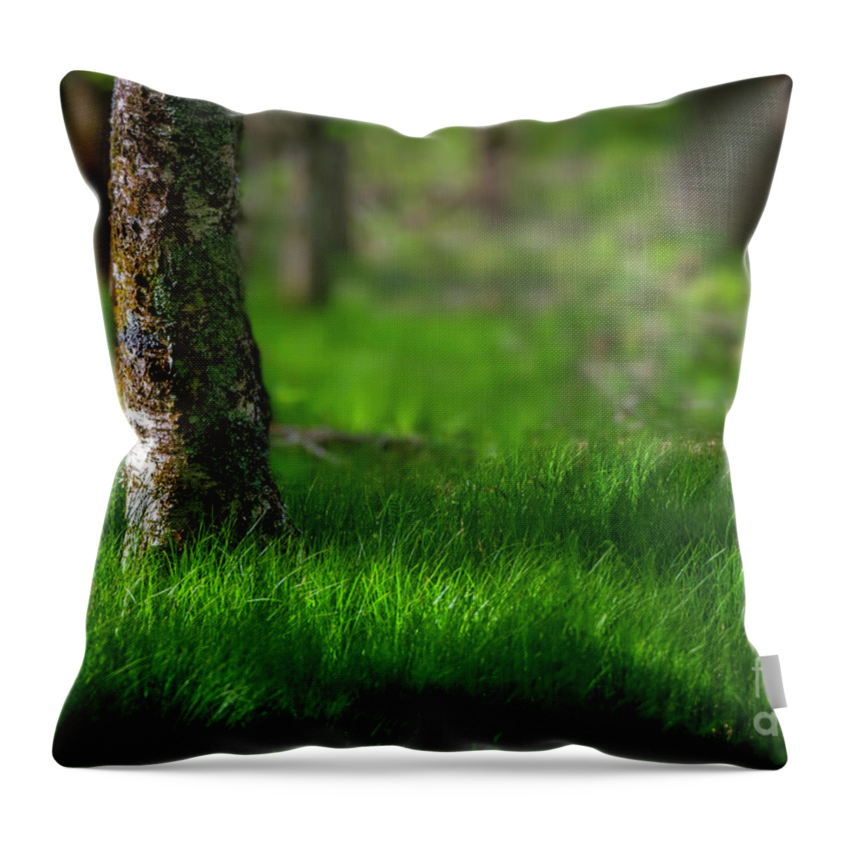 Grass Throw Pillow featuring the photograph Sweet Green Grasses of the Blue Ridge Mountains by Shelia Hunt