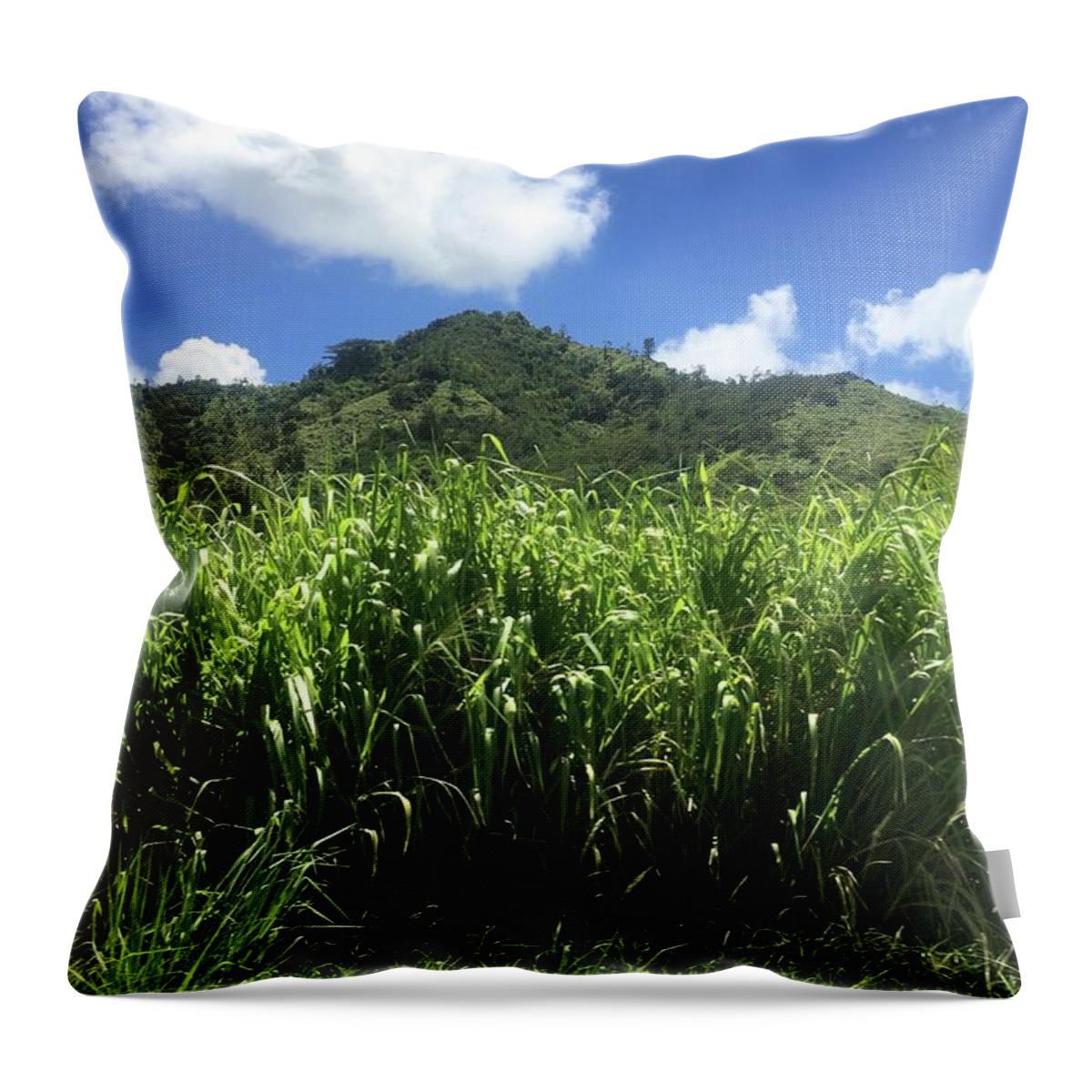 Kauai Throw Pillow featuring the photograph Sweet Kauai Breeze by Jennifer Kane Webb