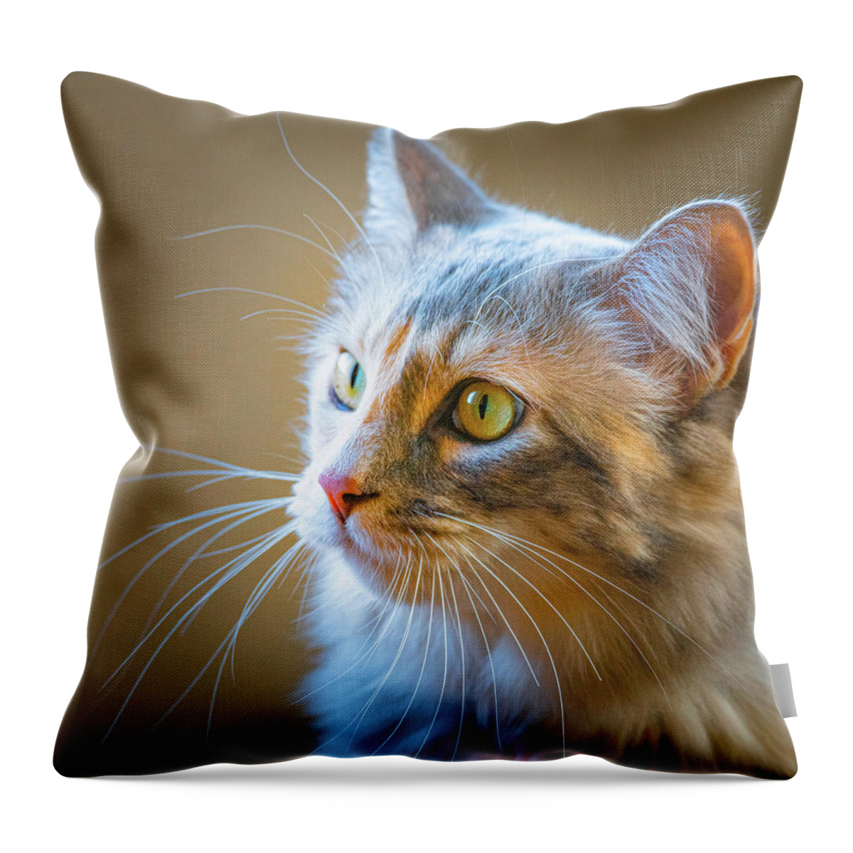 Cat Throw Pillow featuring the photograph Sweet Maya by Janis Knight