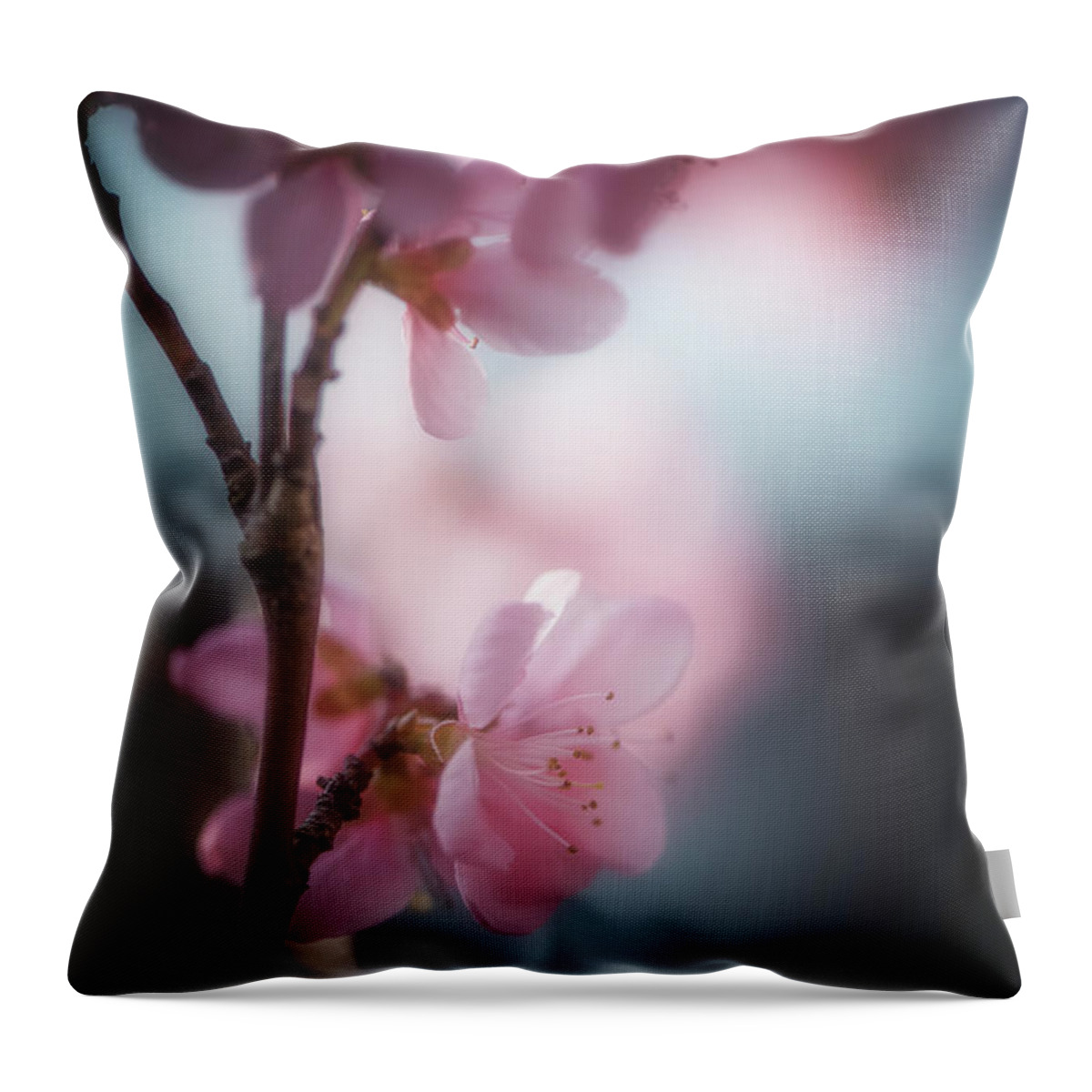 Flowers Throw Pillow featuring the photograph Sweet Spring by Philippe Sainte-Laudy