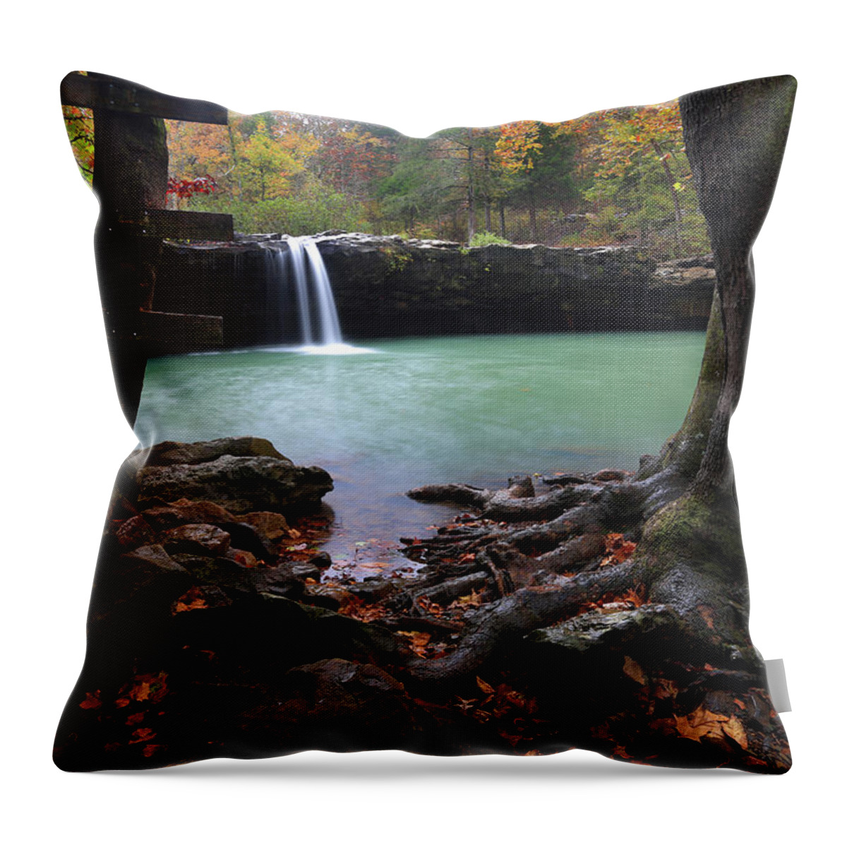  Throw Pillow featuring the photograph swimming Hole by William Rainey