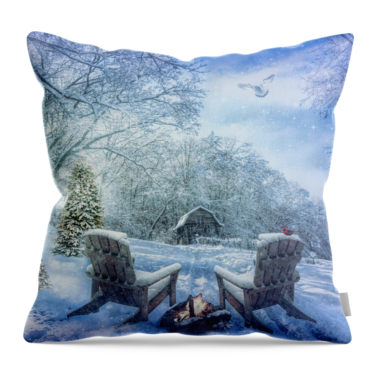 Barns Throw Pillow featuring the photograph Swirling Christmas Country Snow by Debra and Dave Vanderlaan