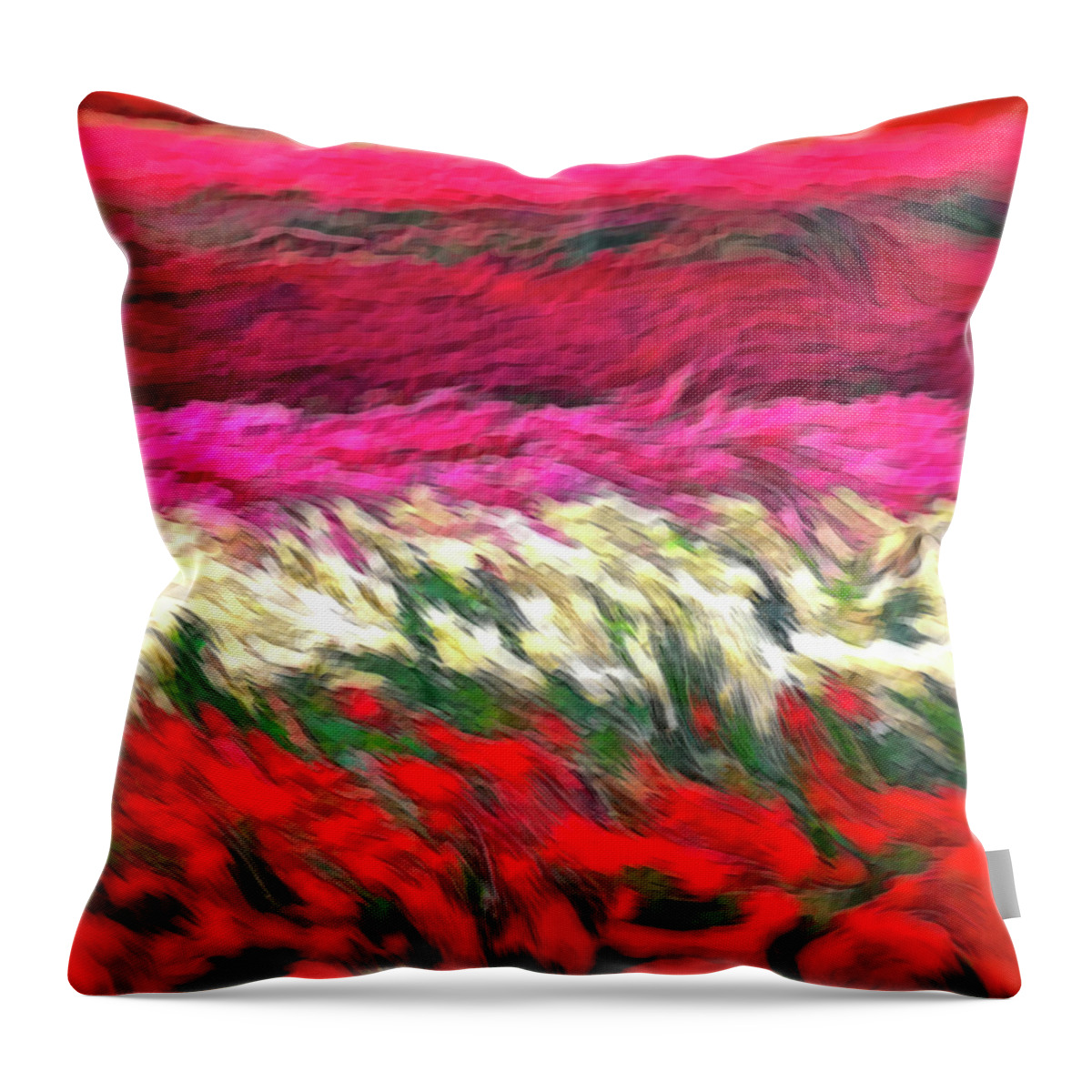Stripes Throw Pillow featuring the photograph Swirly Stripes by Jerry Griffin