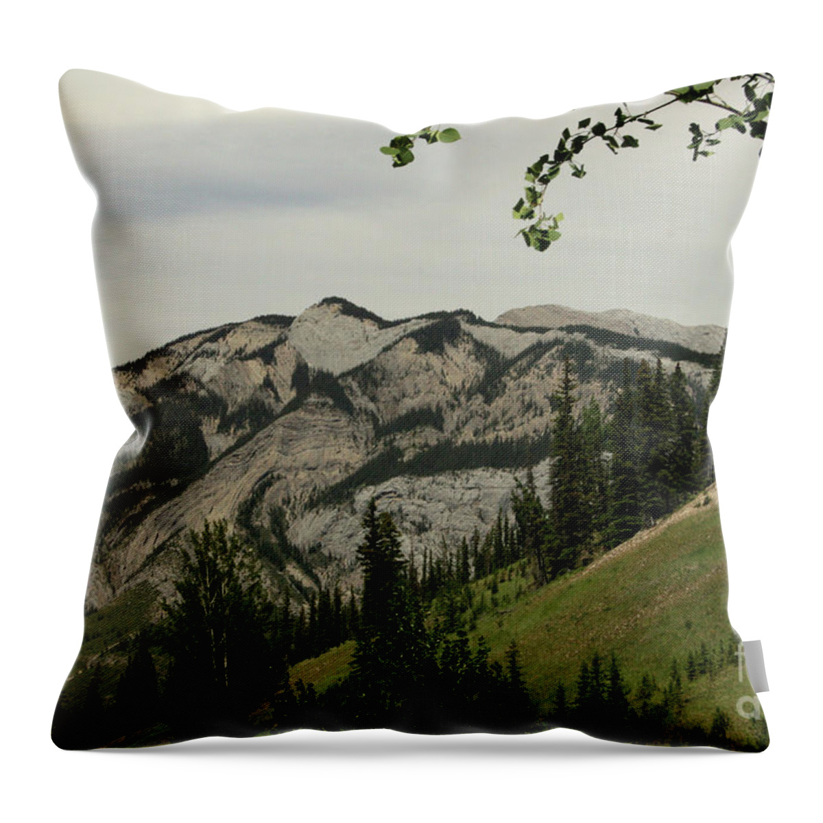Beautiful Throw Pillow featuring the photograph Swirly Top Mountain by Mary Mikawoz
