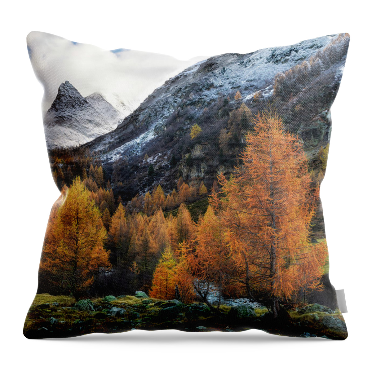 Alpine Throw Pillow featuring the photograph Swiss painting by Dominique Dubied