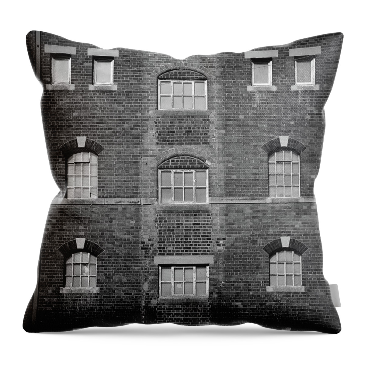 Background Throw Pillow featuring the photograph Symmetrical Industrial building windows by Seeables Visual Arts