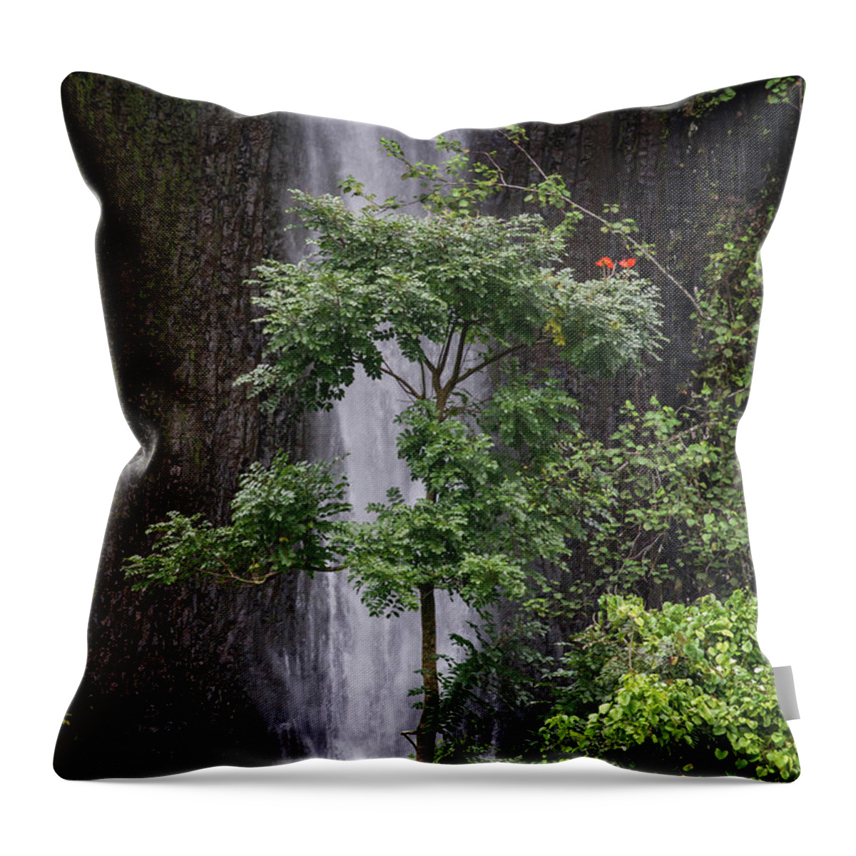 Royal Poinciana Throw Pillow featuring the photograph Tahitian Waterfalls by John Haldane