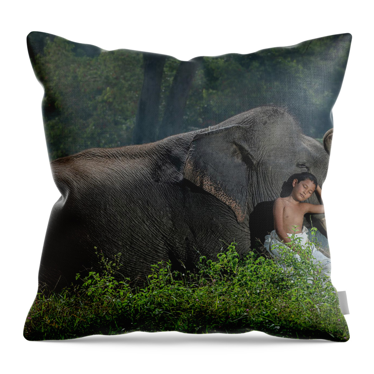 Elephant Throw Pillow featuring the photograph Taking a rest with my best friend. Son of a mahout with his best friend, a male asian elephant by Anges Van der Logt