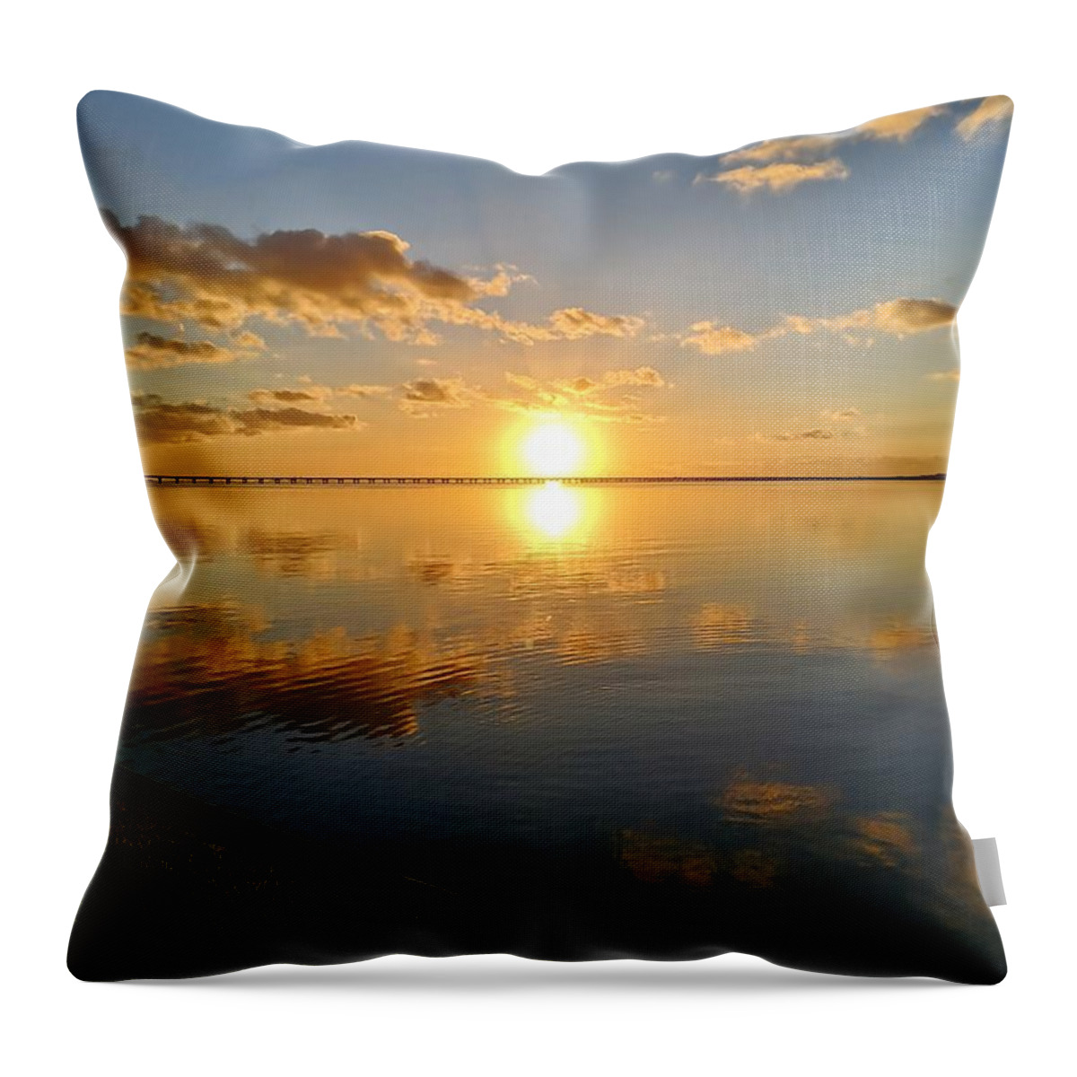 Tampa Throw Pillow featuring the photograph Tampa Bay Florida Photo 174 by Lucie Dumas