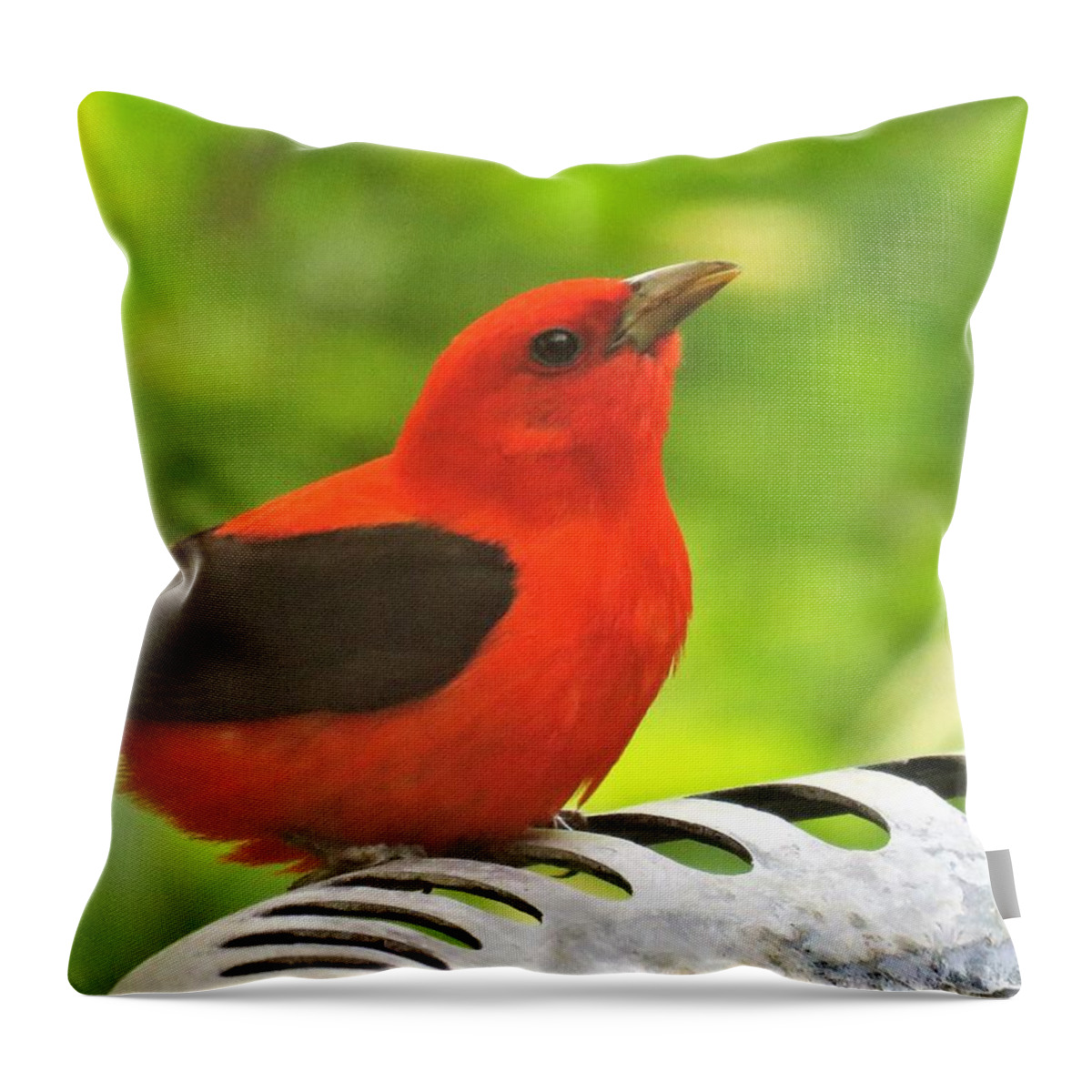 Birds Throw Pillow featuring the photograph Tanager Visitor by Lori Frisch